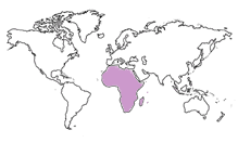 africa Map