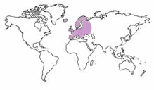 europe Map