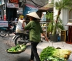Green Lady, Vietnam