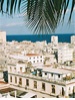 Havana - Watch This Space