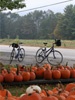 Cycling Leafpeepers