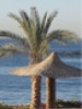 Sharm el-Sheikh - Not just for divers
